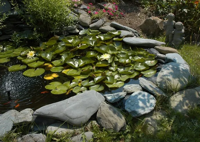 Hotels with tennis Gardenview Bed And Breakfast
